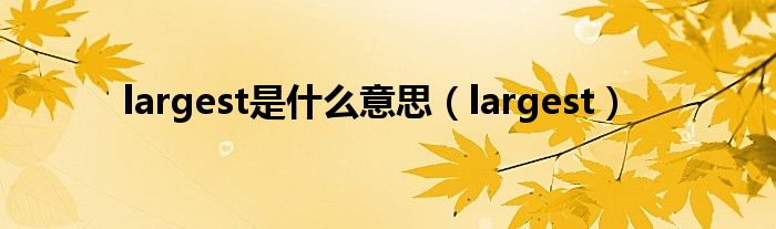 largest是什么意思(largest)