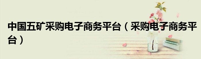 中国五矿采购电子商务平台(采购电子商务平台)
