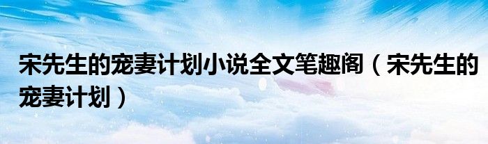 宋先生的宠妻计划小说全文笔趣阁(宋先生的宠妻计划)