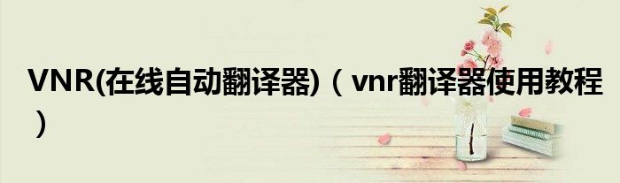 VNR(在线自动翻译器)(vnr翻译器使用教程)