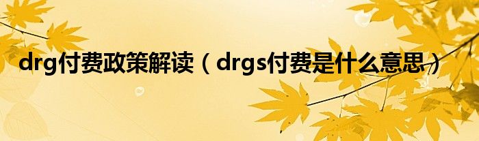 drg付费政策解读(drgs付费是什么意思)