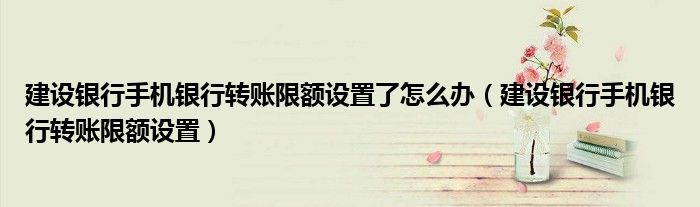 建设银行手机银行转账限额设置了怎么办(建设银行手机银行转账限额设置)