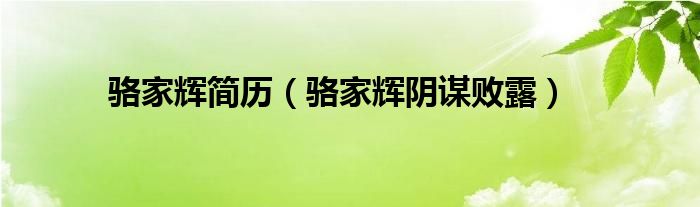 骆家辉简历(骆家辉阴谋败露)