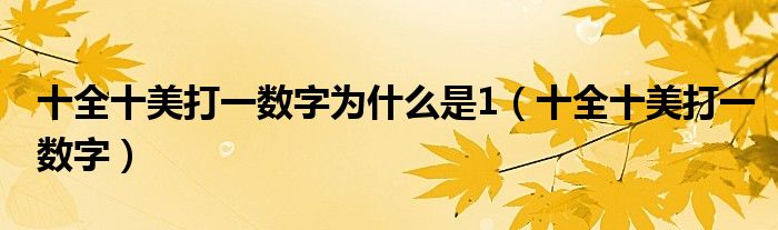 十全十美打一数字为什么是1(十全十美打一数字)