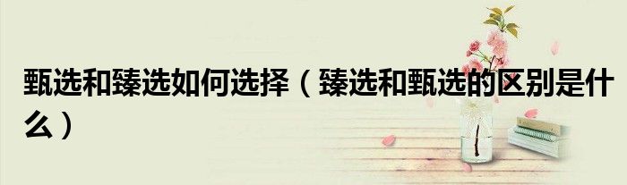 甄选和臻选如何选择(臻选和甄选的区别是什么)