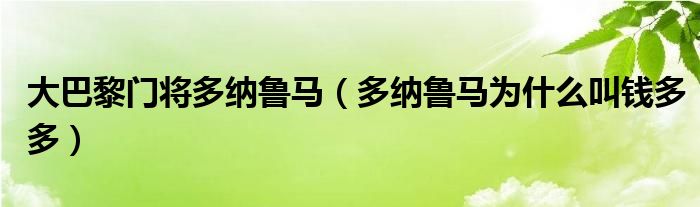 大巴黎门将多纳鲁马(多纳鲁马为什么叫钱多多)