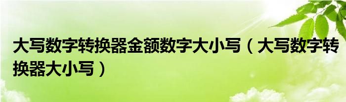 大写数字转换器金额数字大小写(大写数字转换器大小写)