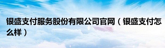 银盛支付服务股份有限公司官网(银盛支付怎么样)