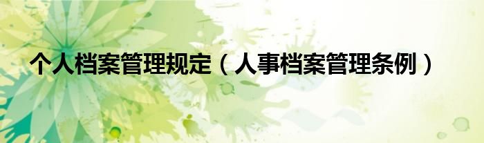 个人档案管理规定(人事档案管理条例)