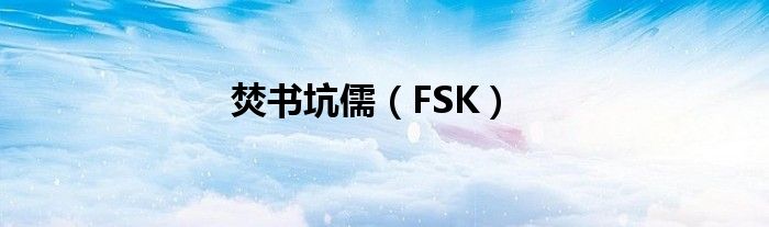 焚书坑儒(FSK)