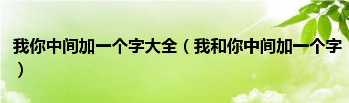 我你中间加一个字大全(我和你中间加一个字)