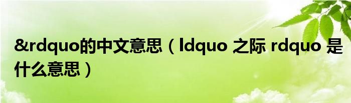 &rdquo的中文意思(ldquo 之际 rdquo 是什么意思)