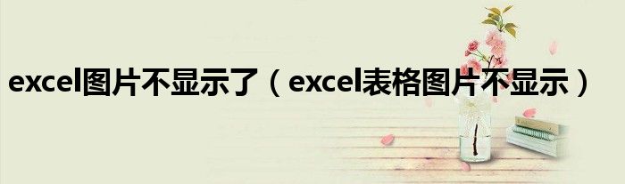 excel图片不显示了(excel表格图片不显示)
