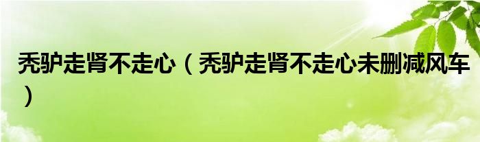 秃驴走肾不走心(秃驴走肾不走心未删减风车)