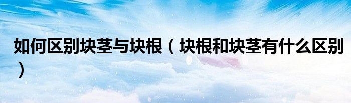 如何区别块茎与块根(块根和块茎有什么区别)