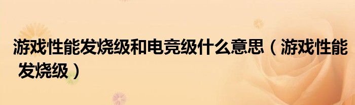 游戏性能发烧级和电竞级什么意思（游戏性能 发烧级）