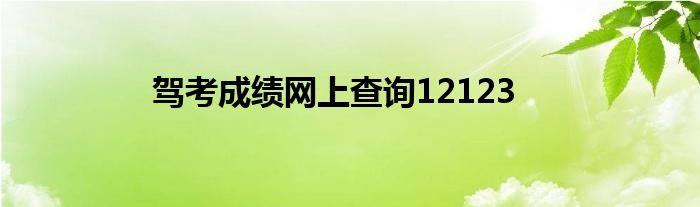 驾考成绩网上查询12123