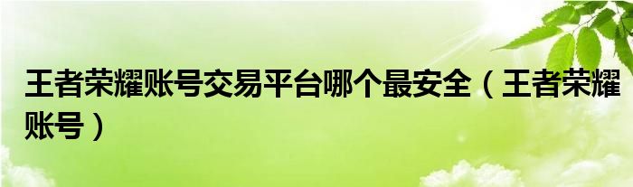 王者荣耀账号交易平台哪个最安全(王者荣耀账号)