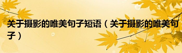 关于摄影的唯美句子短语(关于摄影的唯美句子)