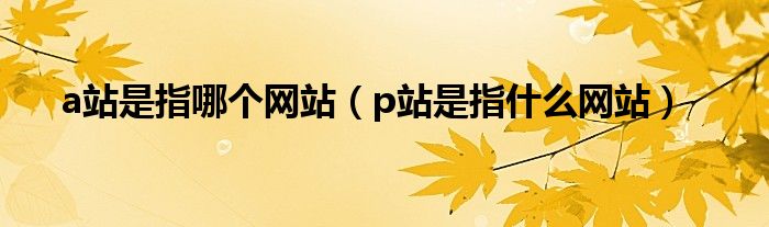 a站是指哪个网站(p站是指什么网站)