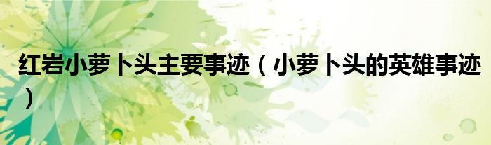 红岩小萝卜头主要事迹(小萝卜头的英雄事迹)