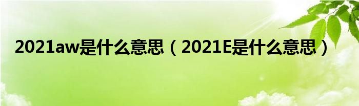 2021aw是什么意思(2021E是什么意思)