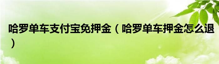 哈罗单车支付宝免押金(哈罗单车押金怎么退)