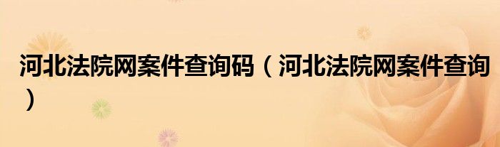 河北法院网案件查询码(河北法院网案件查询)