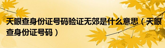 天眼查身份证号码验证无郊是什么意思(天眼查身份证号码)