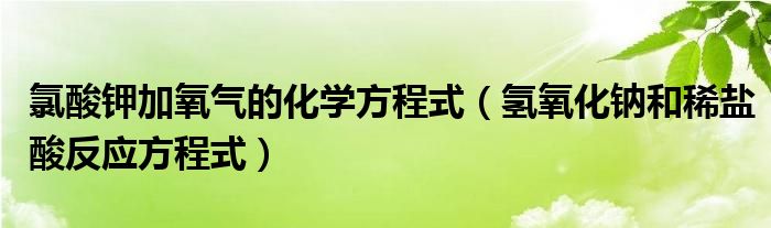 氯酸钾加氧气的化学方程式(氢氧化钠和稀盐酸反应方程式)