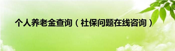 个人养老金查询(社保问题在线咨询)