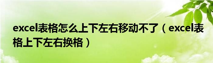 excel表格怎么上下左右移动不了(excel表格上下左右换格)