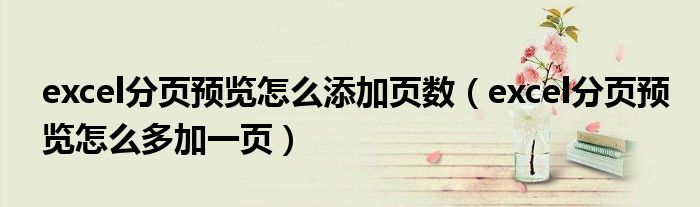 excel分页预览怎么添加页数(excel分页预览怎么多加一页)