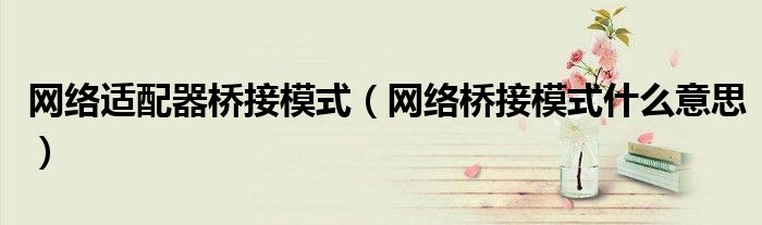 网络适配器桥接模式(网络桥接模式什么意思)