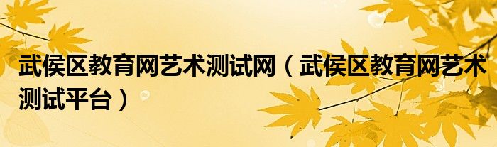 武侯区教育网艺术测试网(武侯区教育网艺术测试平台)
