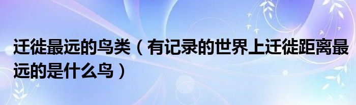 迁徙最远的鸟类（有记录的世界上迁徙距离最远的是什么鸟）