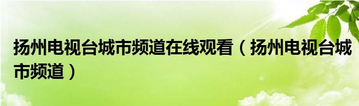 扬州电视台城市频道在线观看(扬州电视台城市频道)