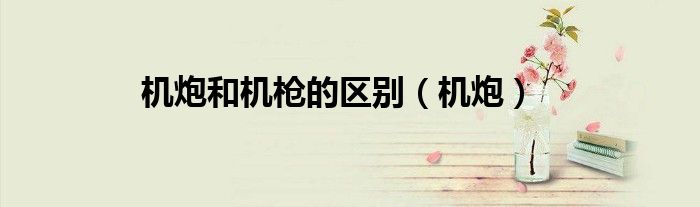 机炮和机枪的区别（机炮）
