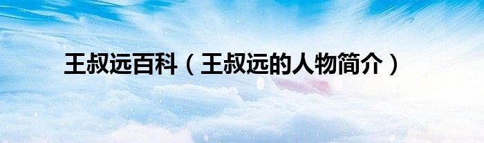 王叔远百科(王叔远的人物简介)