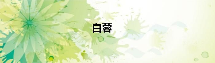 白蓉