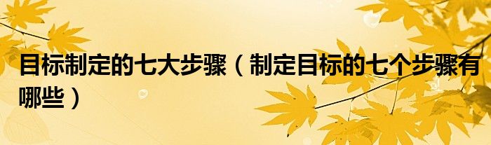 目标制定的七大步骤(制定目标的七个步骤有哪些)