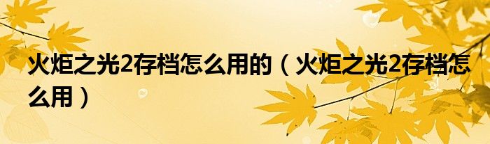 火炬之光2存档怎么用的(火炬之光2存档怎么用)