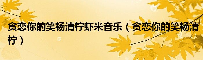 贪恋你的笑杨清柠虾米音乐(贪恋你的笑杨清柠)