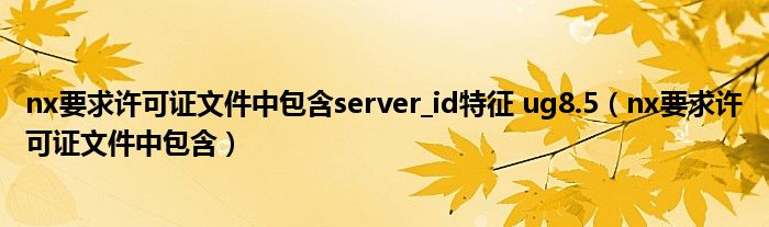 nx要求许可证文件中包含server_id特征 ug8.5(nx要求许可证文件中包含)