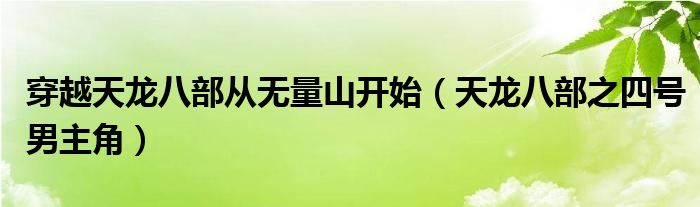 穿越天龙八部从无量山开始(天龙八部之四号男主角)