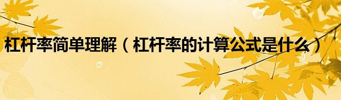 杠杆率简单理解(杠杆率的计算公式是什么)