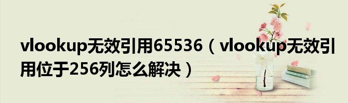 vlookup无效引用65536(vlookup无效引用位于256列怎么解决)