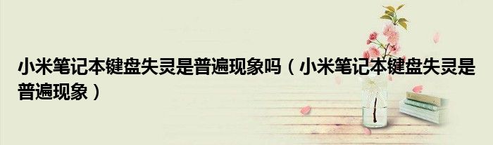 小米笔记本键盘失灵是普遍现象吗(小米笔记本键盘失灵是普遍现象)