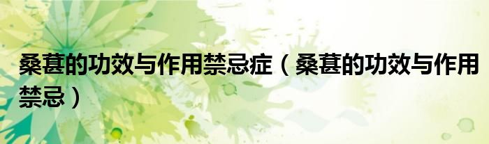 桑葚的功效与作用禁忌症(桑葚的功效与作用禁忌)