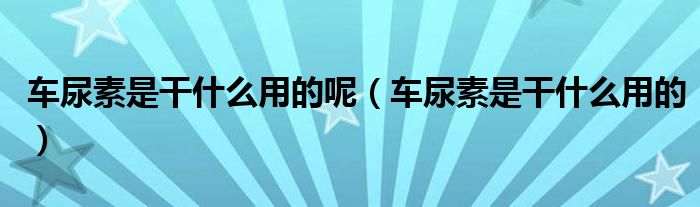 车尿素是干什么用的呢(车尿素是干什么用的)